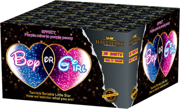 Gender Reveal Fireworks - Girl - Image 3