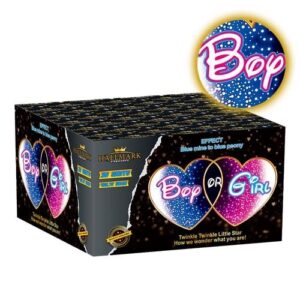 Boy or Girl (blue) by Hallmark Fireworks