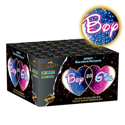 Boy or Girl (blue) by Hallmark Fireworks