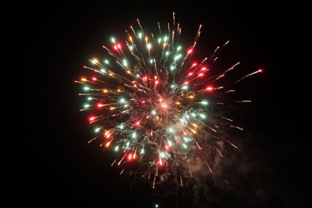 fireworks in the night