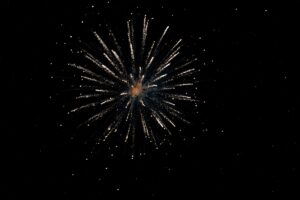 Fireworks exploding bursts light up dark night sky